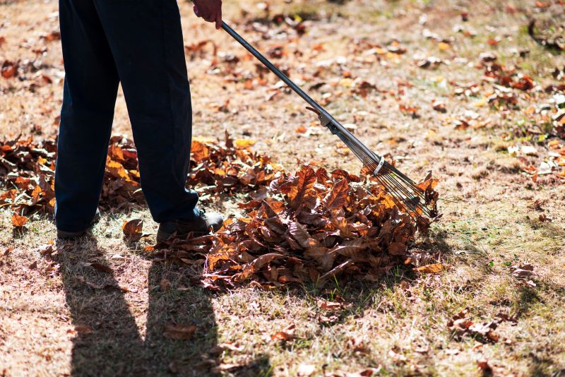 Raking and Bagging Leaves