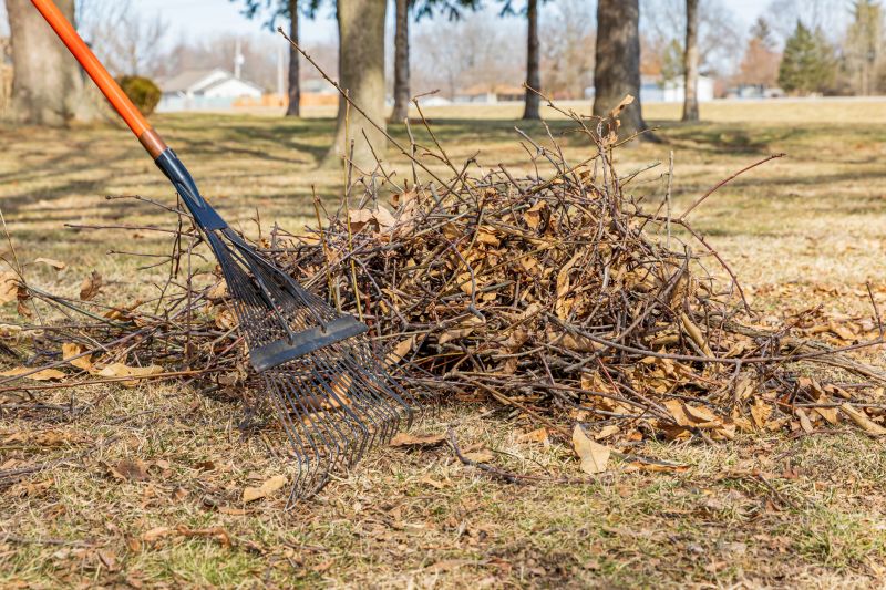 Leaf Pile and Lawn