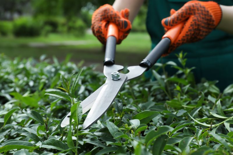 Shrubs with Pruning Shears